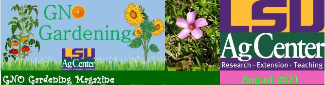 GNO Gardening - August 2021